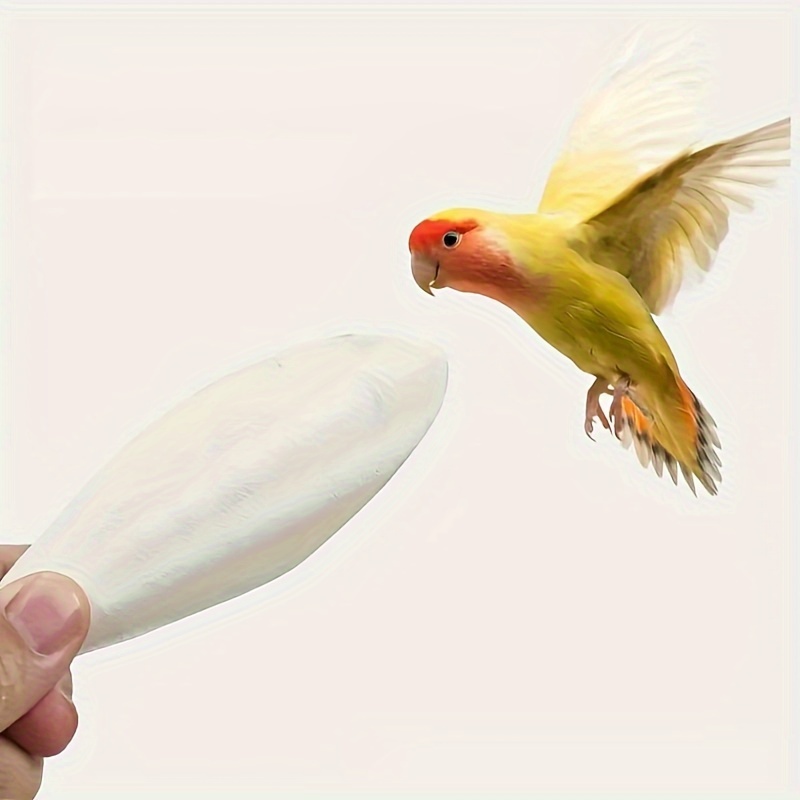 

1pc Cuttlebone For Birds, Parrots Grinding Beak And Calcium Supplement, Unscented De-salted Cuttlefish Bone Chew Toy For Cockatiels, Parakeets, And Reptiles