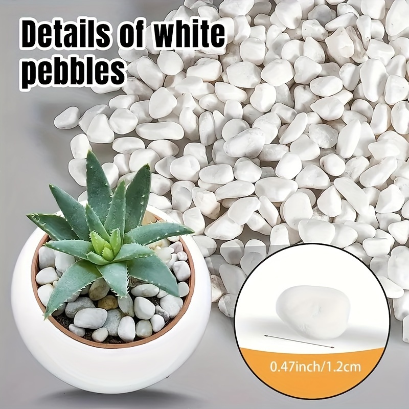 

1500g Natural Garden Pebbles - Decorative White Stone For Landscaping, Durable, Weather-resistant, Ideal For Plants, Gardens, Walkways