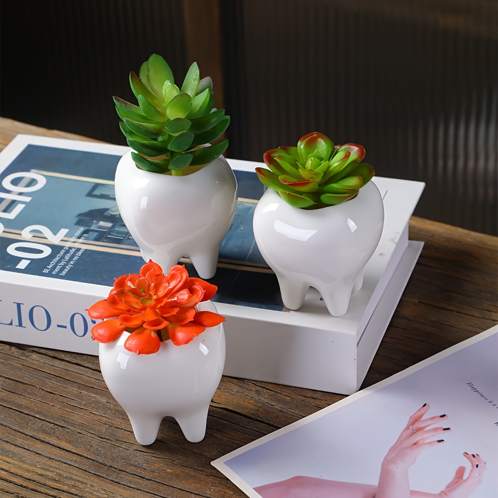 set 6 ceramic flower pots succulents small white pots shaped - Temu