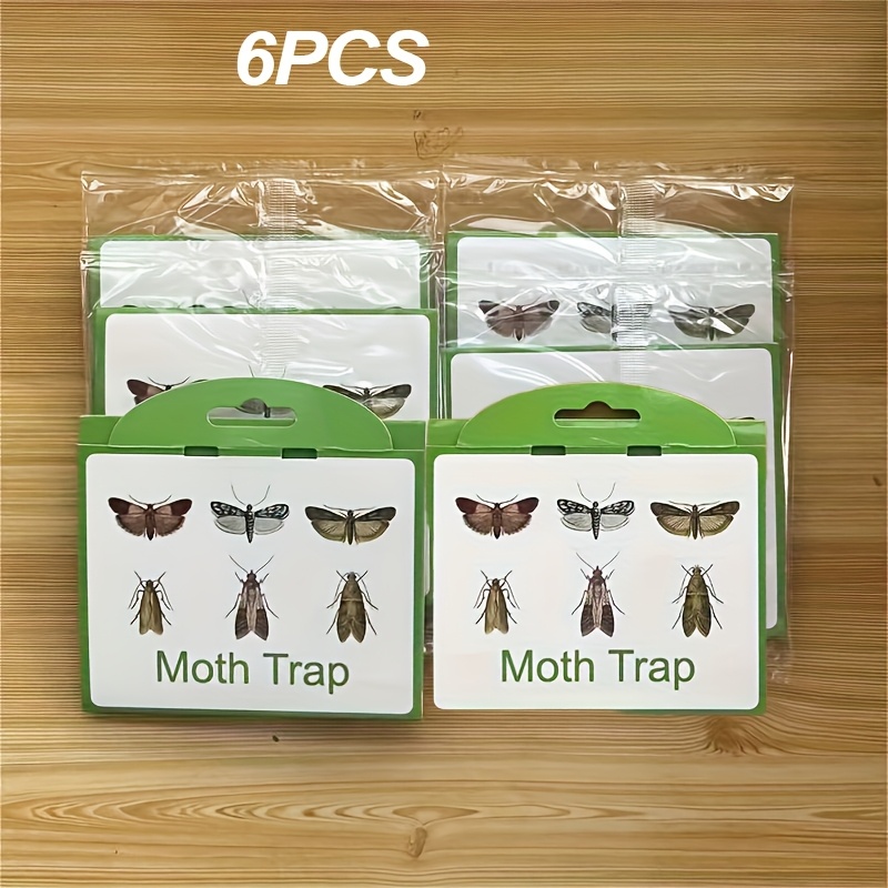 green and white moth traps powerful   pantry moth   household   using taro moth   for indoor moth removal  