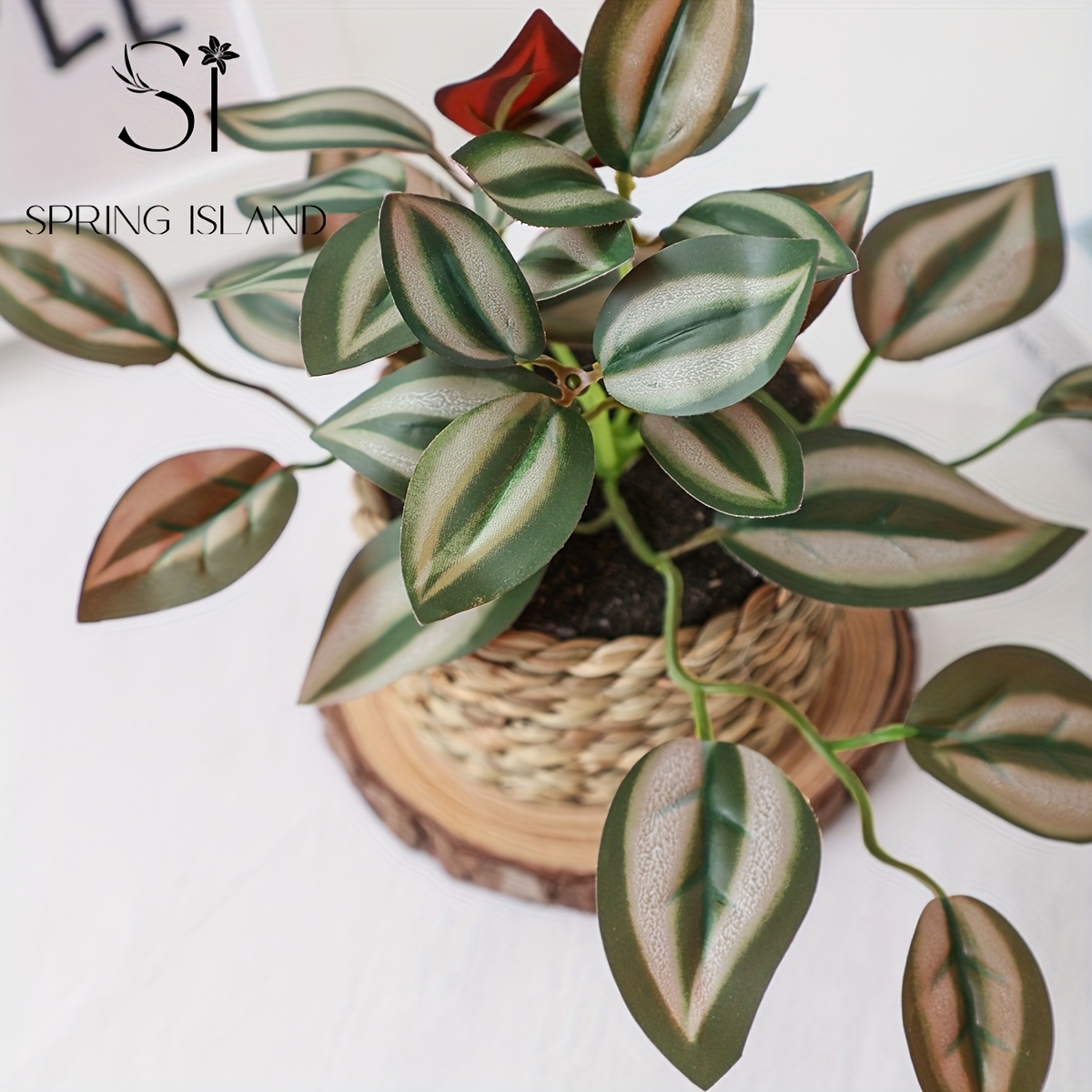 3 piezas/set Planta Artificial de Helecho de Ratán con Bola de Hierba, Planta Tropical Simulada con Maceta, Orquídea de Bambú Colgante con Vena Blanca, Decoración de Peperomia, Zebrina, Inchplant, Peperomia, Fittonia, Verde, Material PE, Fibra de Poliéster, Venta al por Mayor, Flor Artificial