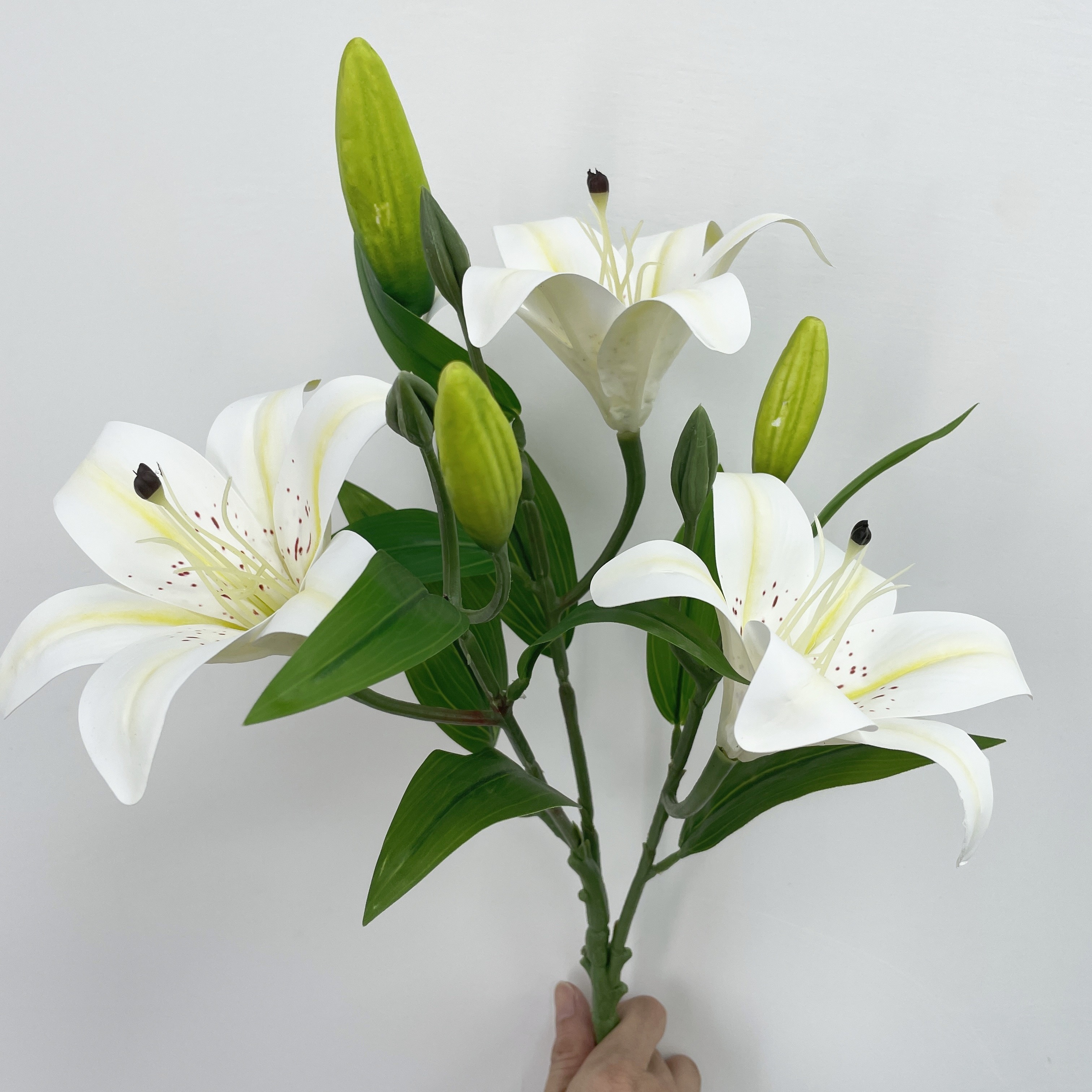 blumenständer nordic Blumenständer BOTANIQUE L von Dutchbone 28,5 x 53 cm — Trendmöbel24 main image 1