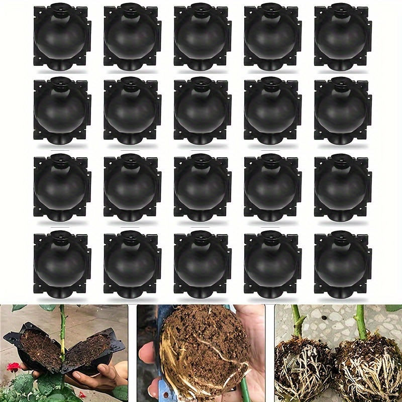 

Lot de 20 boules noires en plastique enracinement des plantes, sphères de par marcottage, dispositif de greffage réutilisable la reproduction de plantes à , capsules de greffage et arbres