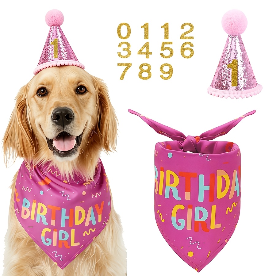 TEMU 3pcs Pet Dog Birthday Hats, Dog Birthday Decorations, Dog Birthday Headbands, Dog Birthday Party Supplies, Birthday Dog Clothing Suitable For