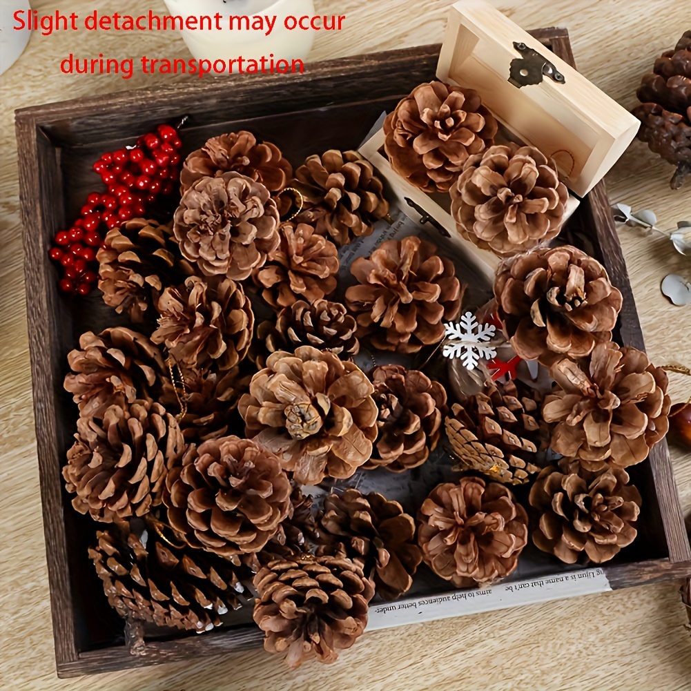 

10pcs, Pine Cone Craft Set, Home Decoration, For Thanksgiving, Christmas And Wedding, Decorative Accessories, Crafts And Props