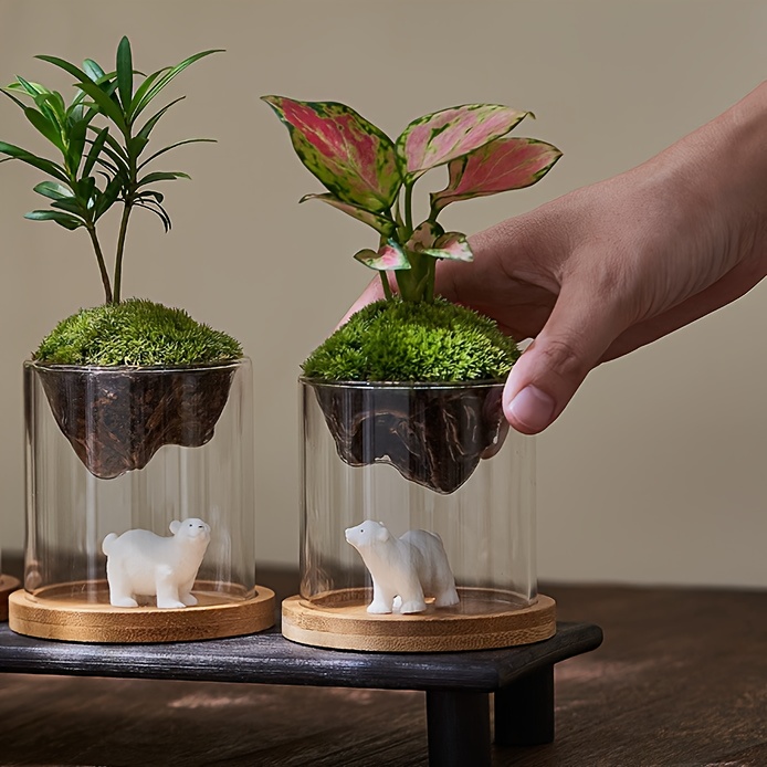 Jarrón De Vidrio Transparente Con Base De Madera Para Suculentas - Mini Terrario 13.5x13.5x13.5 Cm