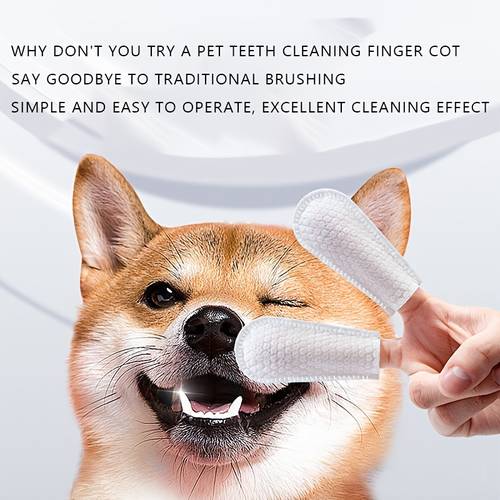 100 disposable finger towels for dogs and cats essential for removing tooth stains cleaning ear and the mouth pet oral care cleaning pet cleaning towels high quality towels pet oral hygiene cats and dogs