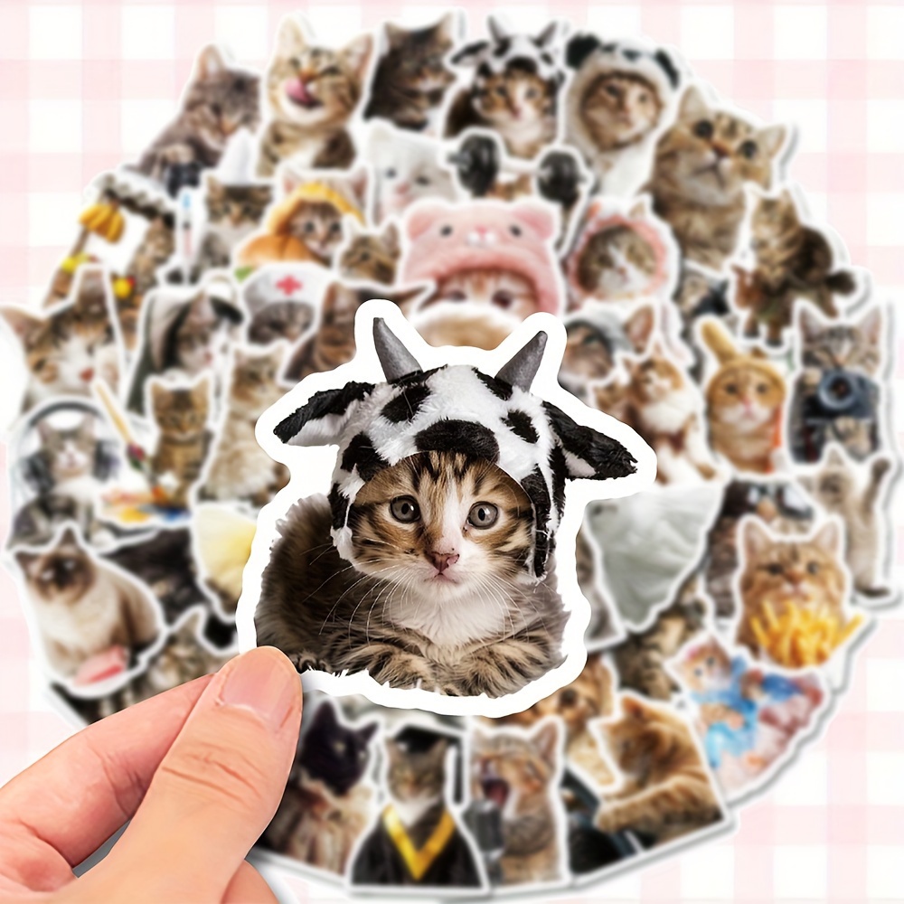 

50 Adorable Cats Stickers: Diy, Waterproof, And Perfect For Decorating Your Notebook, Guitar, Helmet, Skateboard, Luggage, Phone, Or Computer