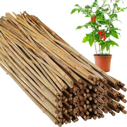 60 bamboo stakes bulk plant stakes supports climbing for tomatoes beans vegetable and potted plants 48 inch