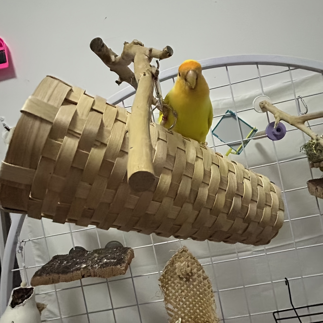 Vogelspielzeug Aus Holz & Rattan – Bunter Stern Mit Glocke | Für Käfige, Papageien & Sittiche