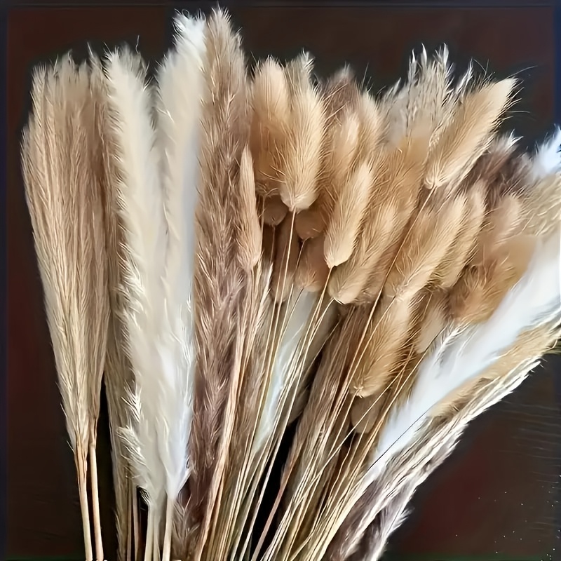 Image of 200 Dried Flower Bouquets - Pampas Grass, Home, Wedding And Bohemian Style Decorative Flowers | Suitable For Spring, Flower Arrangements