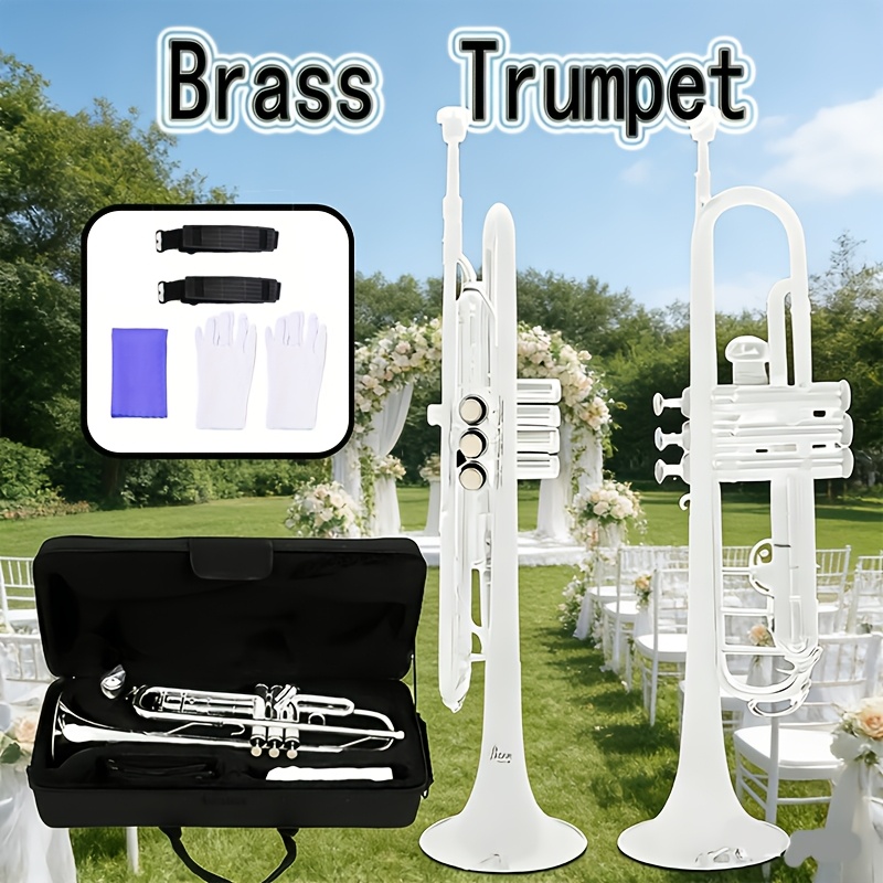 trumpet instrument sold on Temu United States