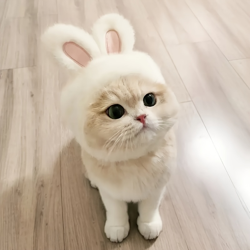 E-shop -Katzenhut Plüsch – Weiches tragbares Katzenohren-Kopfstück mit Klettverschluss, geeignet für kleine/mittelgroße Hunde & Katzen,