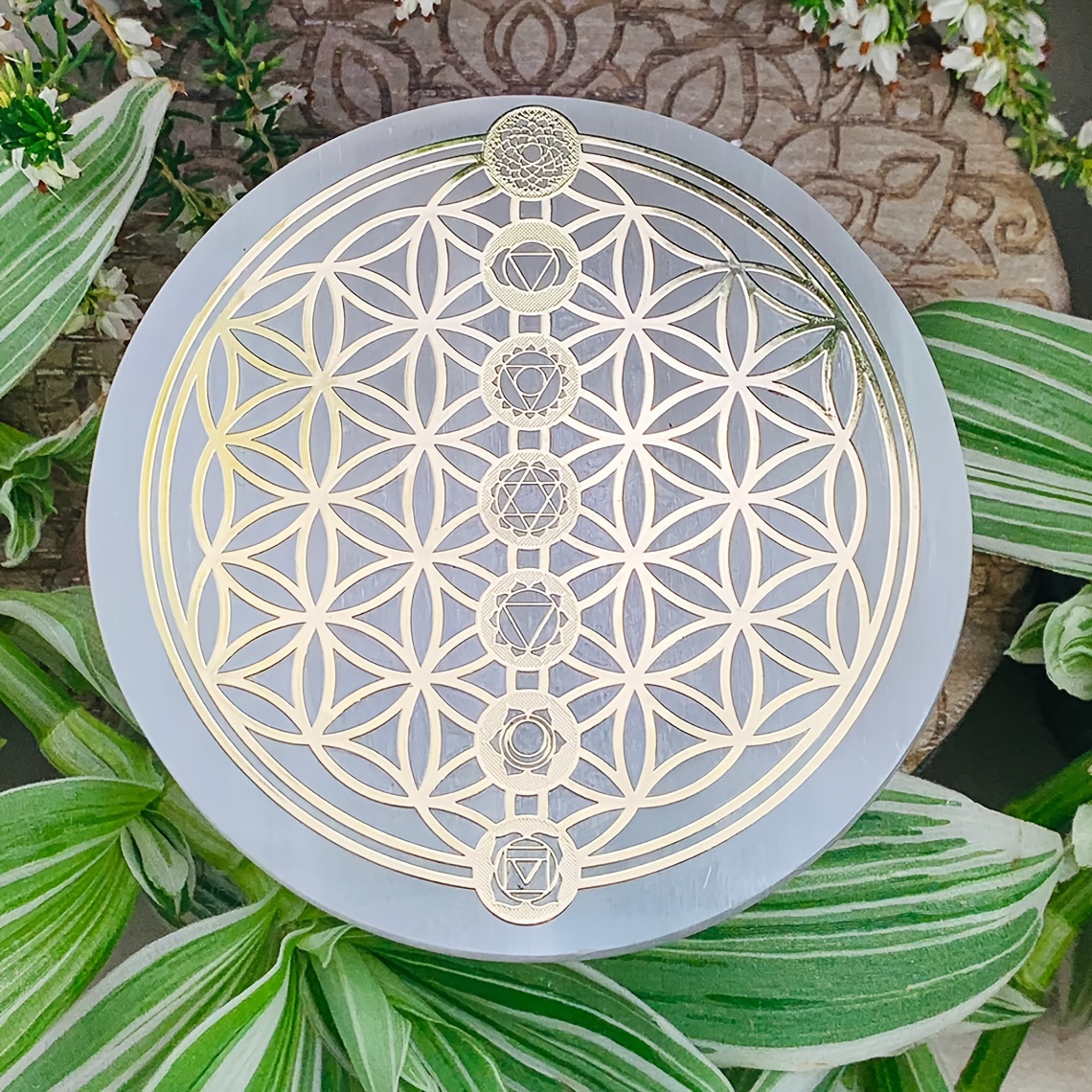 TEMU 1pc Of 6cm Natural Selenite Patterned Featuring The Flower Of Life Tree, A Creative Quartz Disc With Symbols, Decorative Purposes