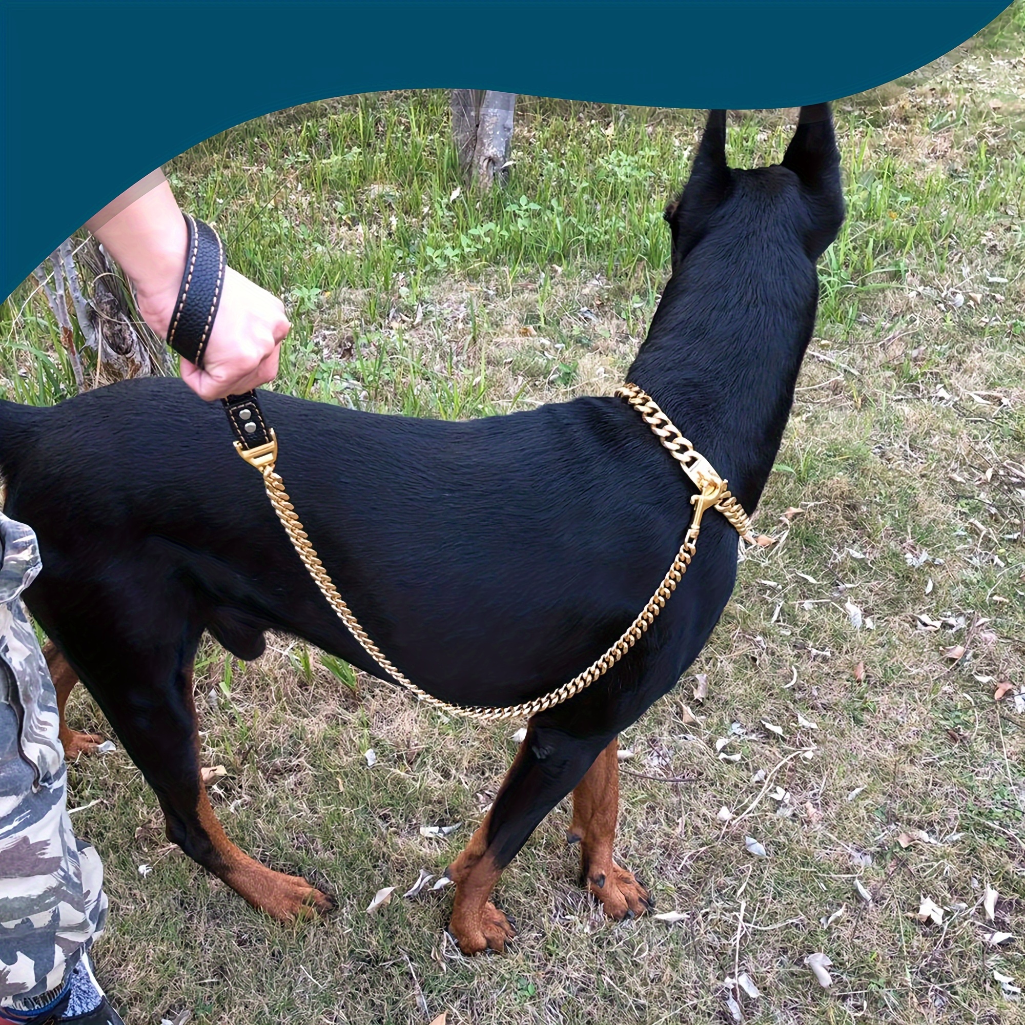 Leather Padded Handle Dog Leash