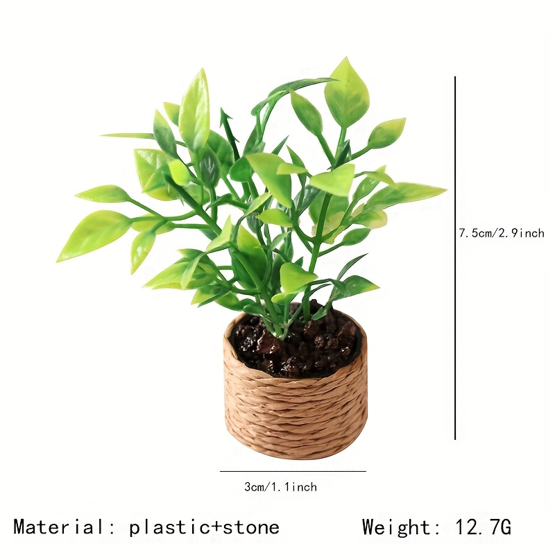 Miniature Orange Tree Green Plant Decor