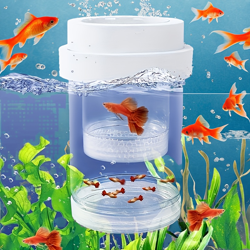 

Premium Pvc Fish Kit - Rectangle Aquarium Breeding Cage For Safe Fry Isolation, Ideal For & Aquatic Plants