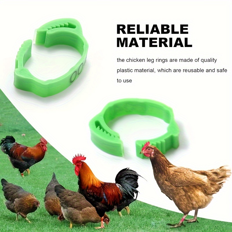 100 pack adjustable reusable colorful chicken leg bands numbered poultry identification tags for chickens ducks geese turkeys details 3