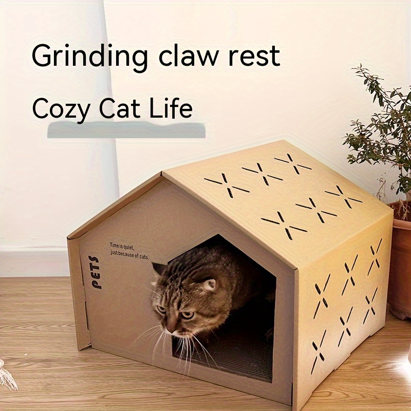 Enclosed cat outlet condo