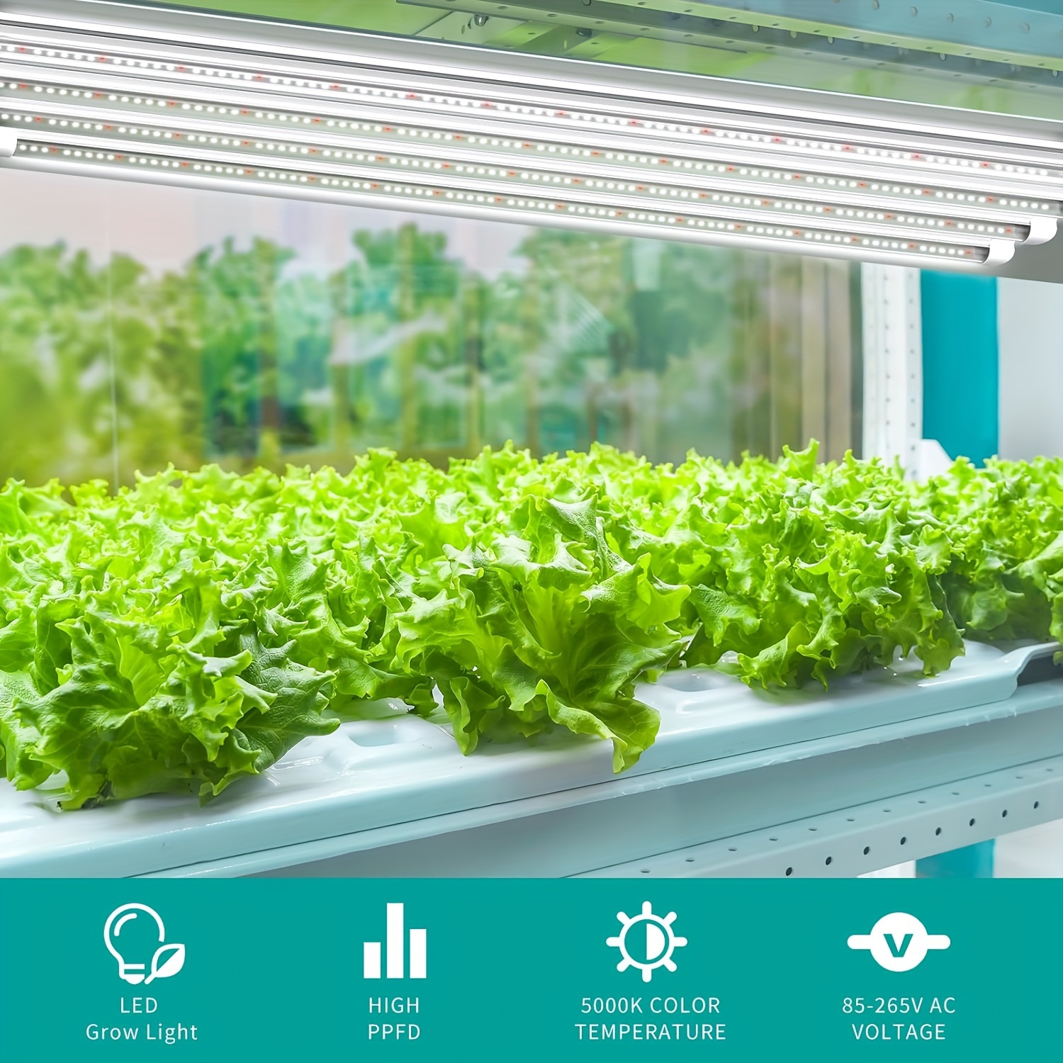 drip irrigation for plants in pots WaterWise Drip Irrigation System