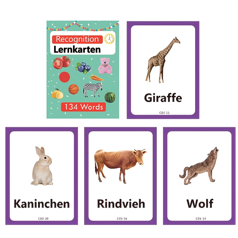 Image of 100 German Vocabulary Flashcards For Kids Learning Cards, 9 Themes Family Body Clothes Toys Tableware Items Instruments Food, Preschool Homeschool Education