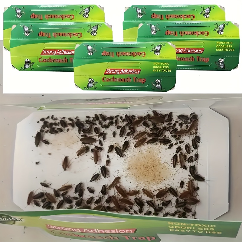  effective household cockroach traps non toxic sticky traps   control indoor and outdoor pests and cockroaches battery free and  