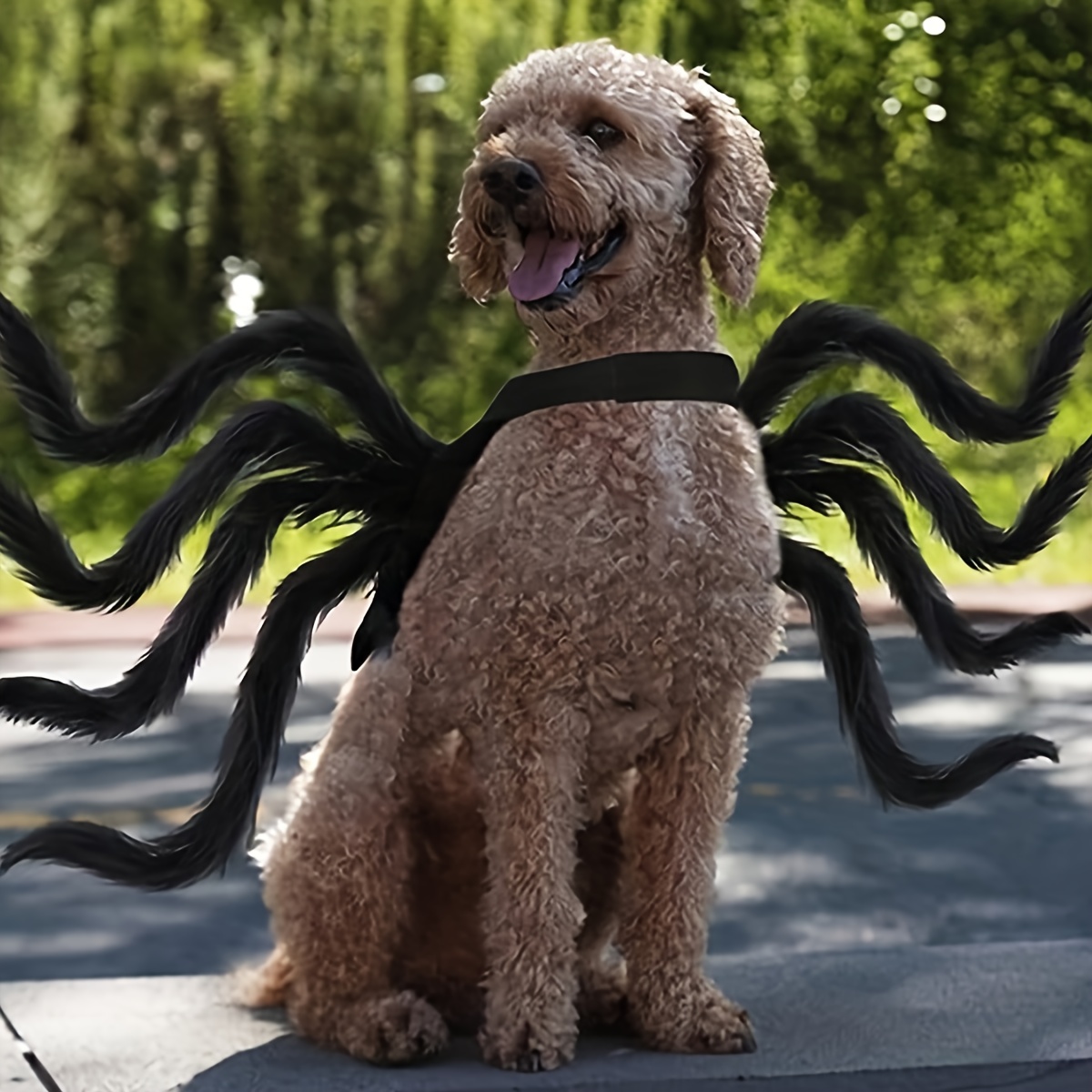 Hunde-Halloween-Kostüm Riesen-Spinne – Mit LED-Lichtern, Verstellbar, Für Große Hunde, Orange