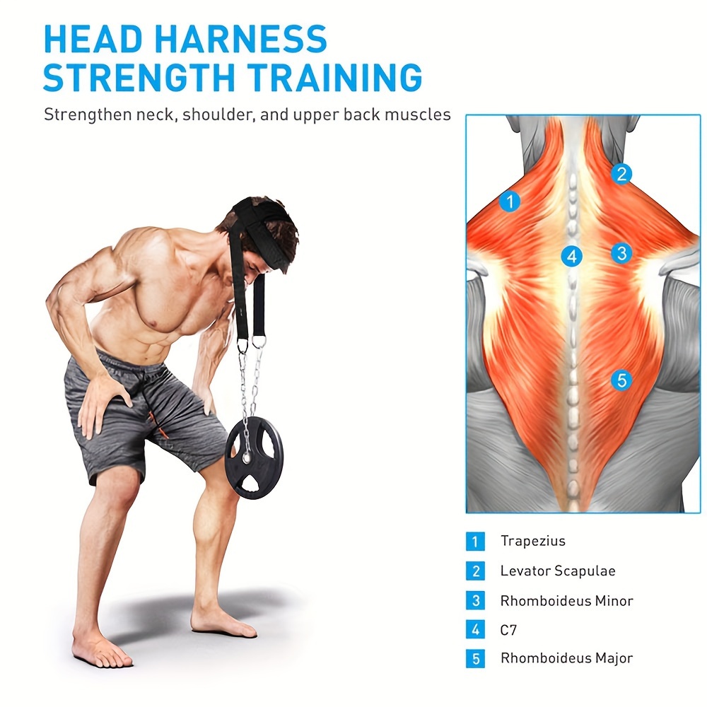 Strength Training Dumbbell Neck Exercises Dumbbell Neck Neck