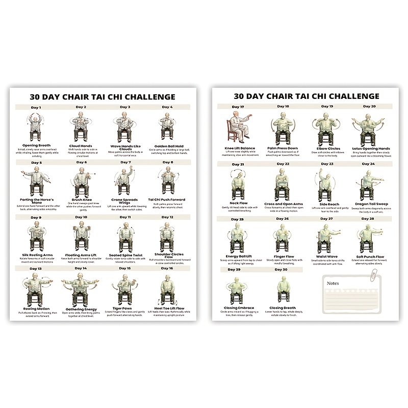 TEMU Chair Tai Chi Challenge Poster - Seated Exercise Chart For Seniors And Adults - Daily Workout Guide - Fitness Wall Art For Home Office And