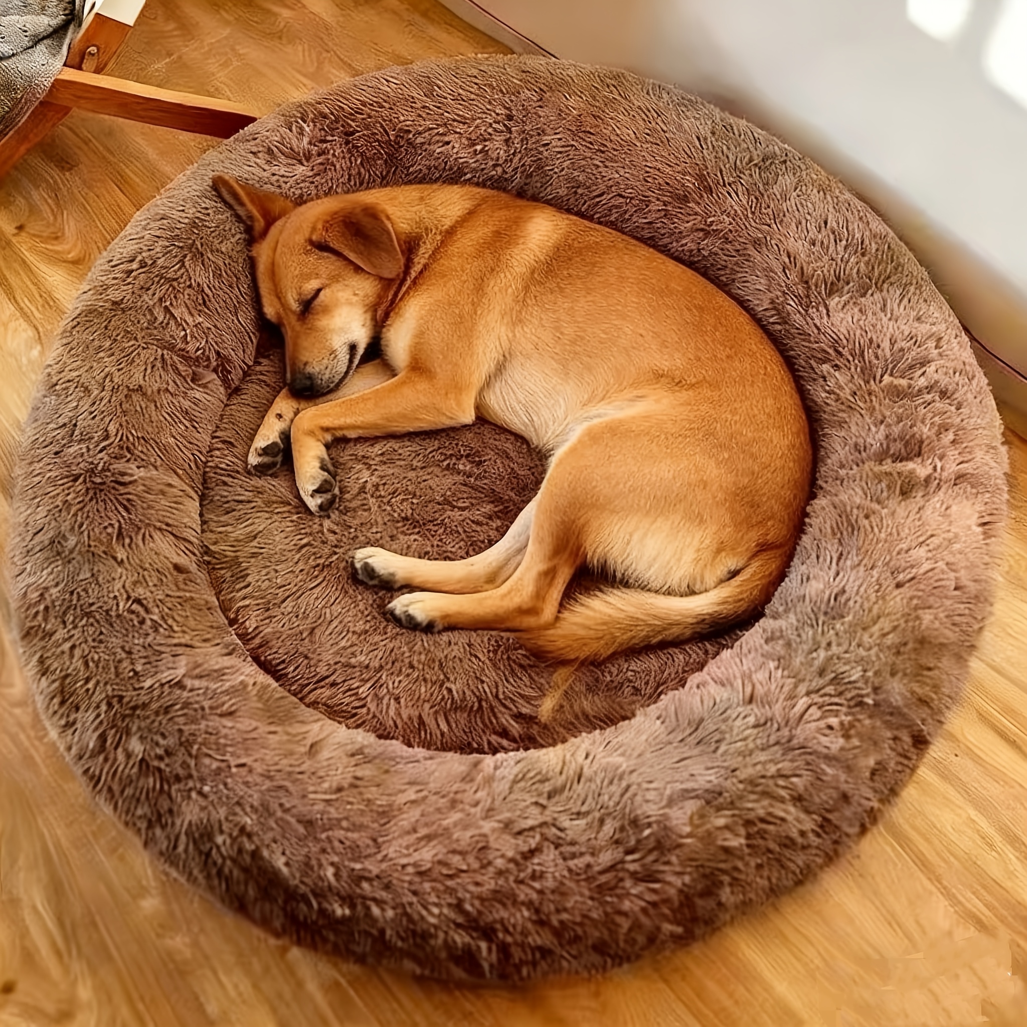 kaufland nassfutter hund nassfutter-huhn-kartoffel-gemse-fuer-hunde-400g  Futternasera