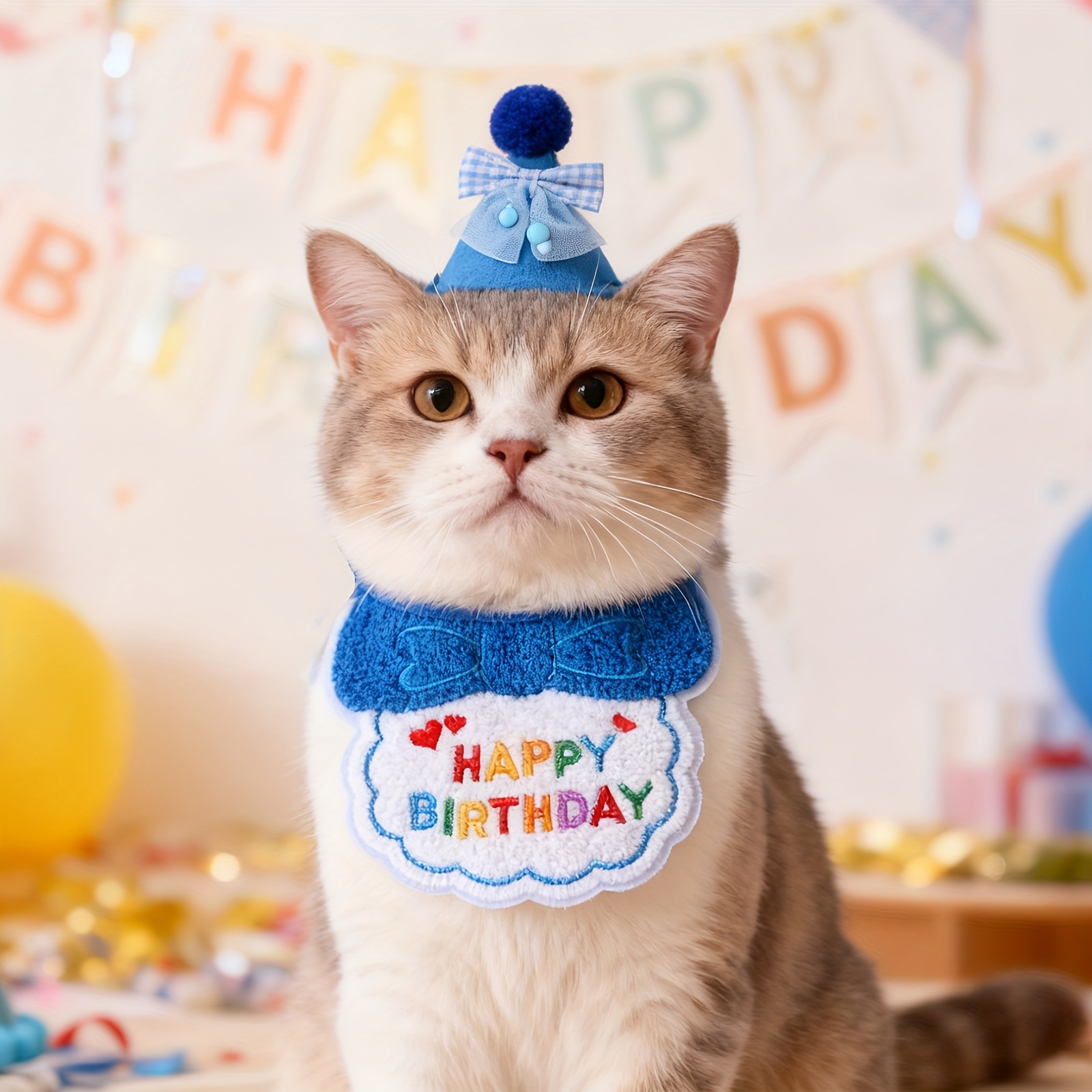 TEMU Set Decorazioni Compleanno per , Bavaglino con Lettere + Cappello Compleanno con , Accessori e Carini, Disponibile in Colori, Lacci Regolabili,