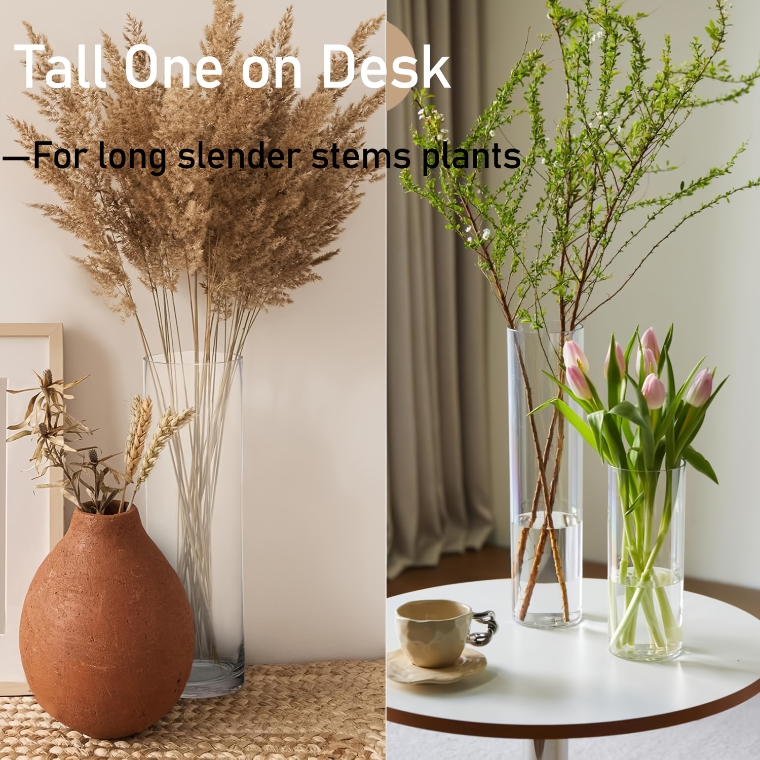 Two Extra-Large Transparent Cylindrical Vases for Floral Arrangements