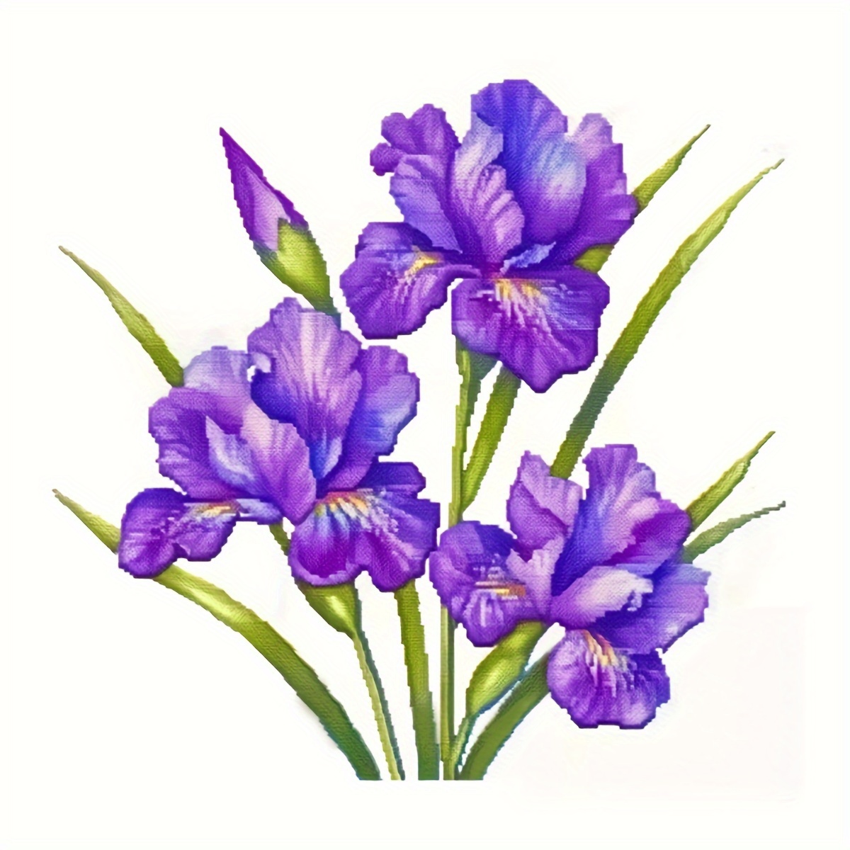 

Kit de Broderie Iris Violet Vibrant 1-Set - 100% 11CT, Motif Floral Facile à Suivre, Tissu Blanc & Cercle à Broder - Cadeau d'Artisanat DIY Idéal pour Toutes les