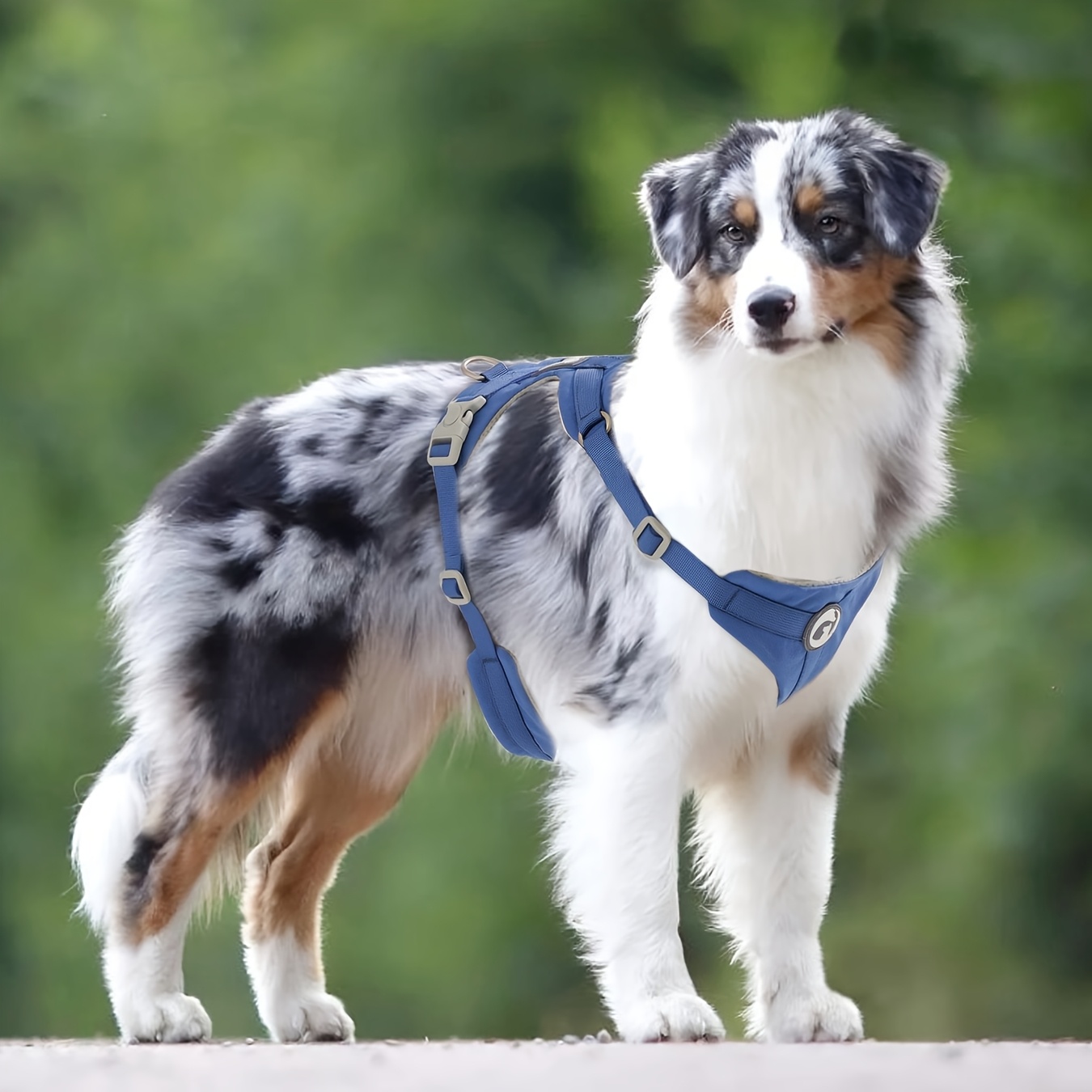 Gentle Leader Best Dog Harness For Pulling Dogs Canine Puppy Best