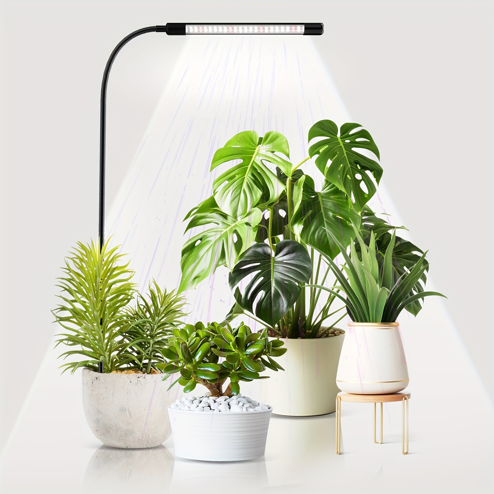 Zimmerpflanzen-Wachstumslampe, USB-betrieben, 59,94 cm lang, 6000K  Vollspektrum-Schwanenhals-Pflanzenlampe * fr Samen, Sukkulenten kleine  Blumen, automatische *-/Ausschalt-Zeitschaltuhr 5 ...