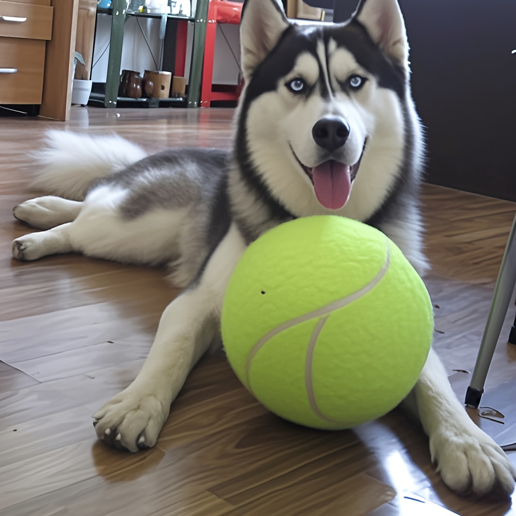 

Balle de tennis en caoutchouc de 24 cm/9,5 pouces avec motif moiré - Jouet interactif non gonflable pour animaux de compagnie, recommandé pour races, besoin de batterie.