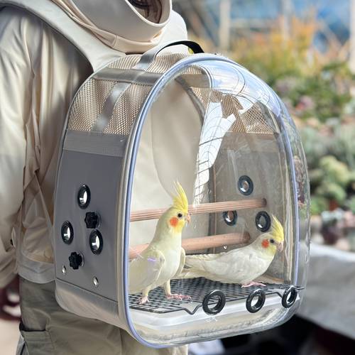 transparenter tragbarer großer doppelschulter-rucksack für papageien – ideal für zuhause & reisen in allen jahreszeiten