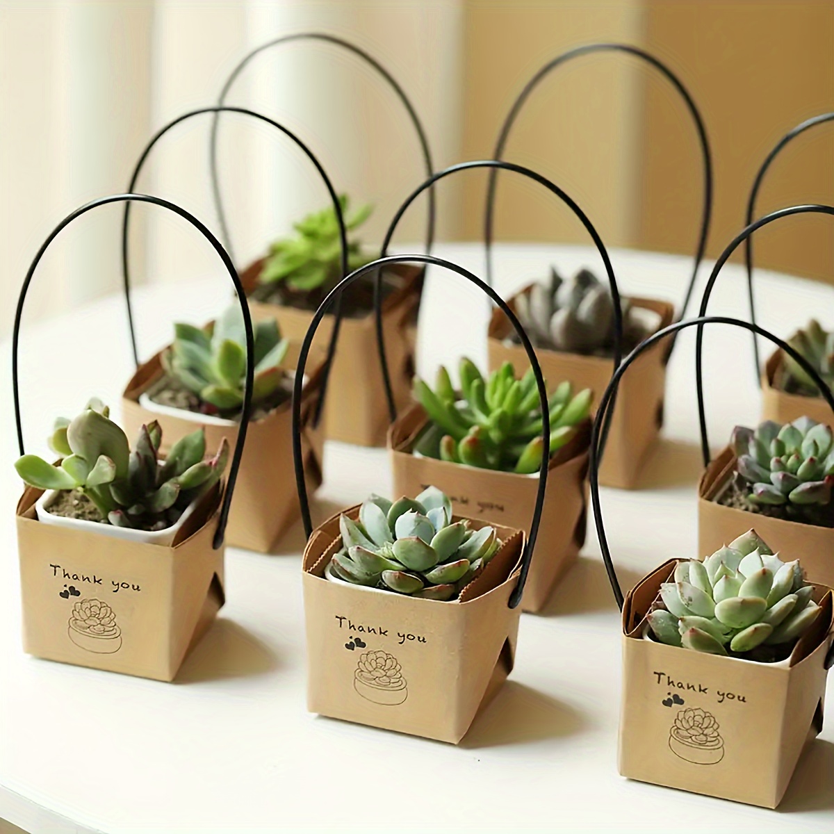 

40pcs Mini Succulent Gift Set With Paper Boxes - Ideal For Teacher Appreciation, Thanksgiving & Small Business Packaging, Teacher Christmas Gifts