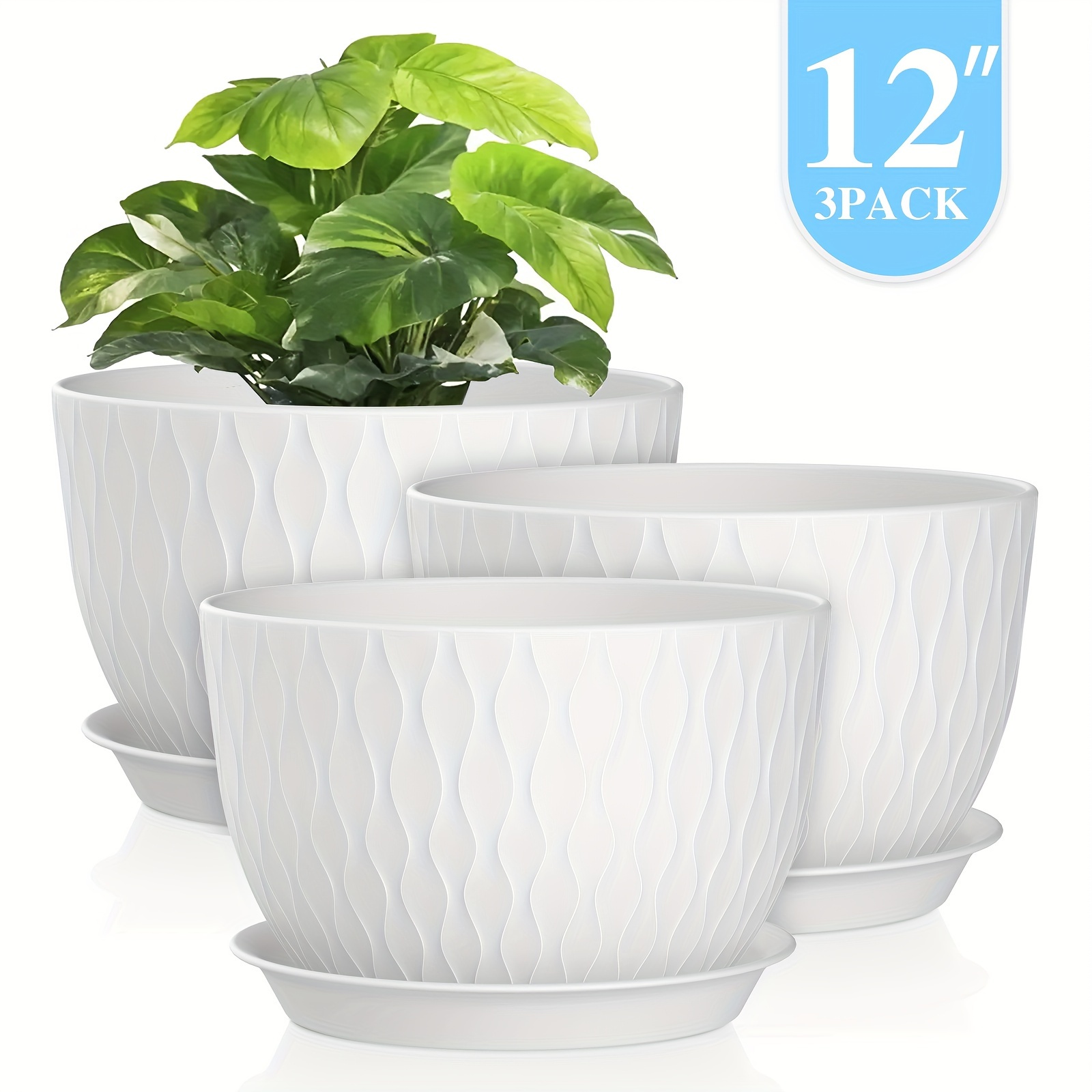 12 inch planter - Mauritius