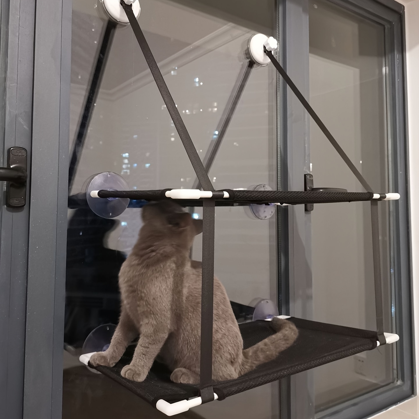 

1pc Pet Cat , Suction Cup Type Cat Climbing Frame, Glass Window Tile Double Layer Sandwich Mesh Cat Nest Bed, Cat Window