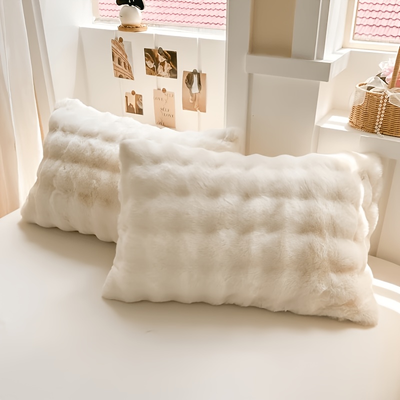 TEMU Ensemble de 2 housses de coussin douces et moelleuses, style décoration moderne blanc, salon, salle à manger, canapé, voiture, siège de fenêtre,
