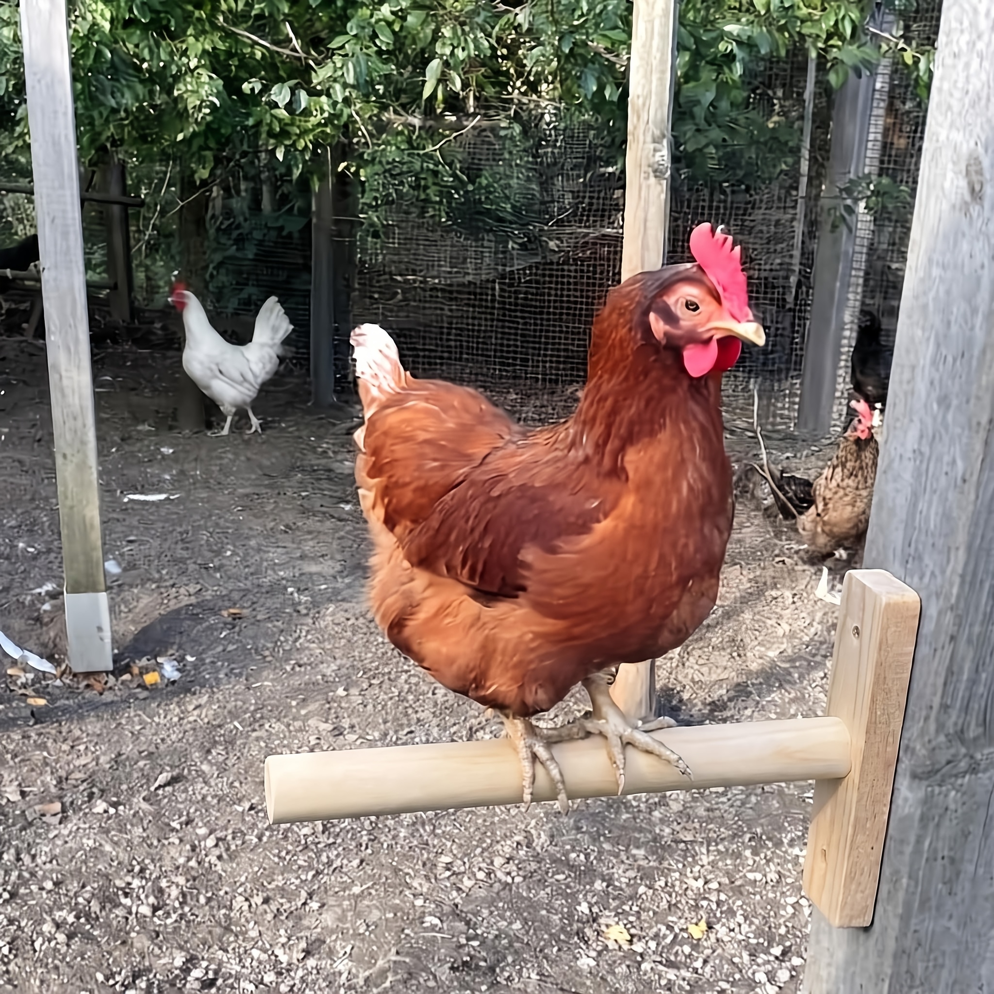 TEMU Wooden Wall-mounted Chicken Perch, Heavy-duty Poultry Resting Perch, Coop Hanging Resting Perch, Durable Chicken Sleeping Perch, Farm Poultry