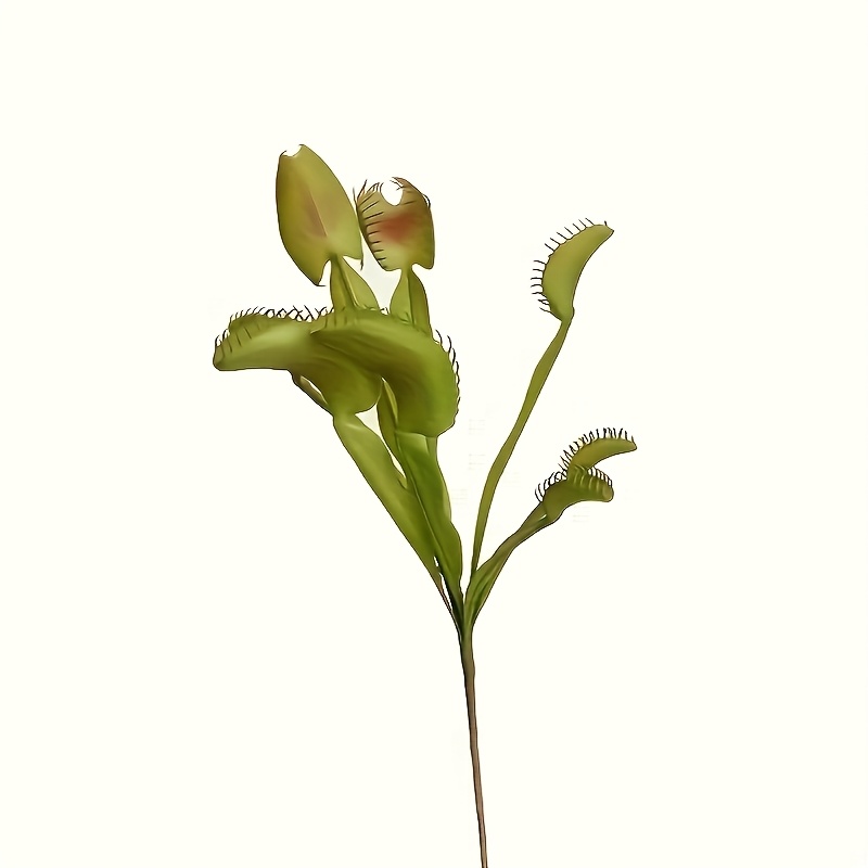 TEMU 1pc Realistic Venus , Artificial Plant , Indoor Decoration Fake Greenery Atmosphere Arrangement