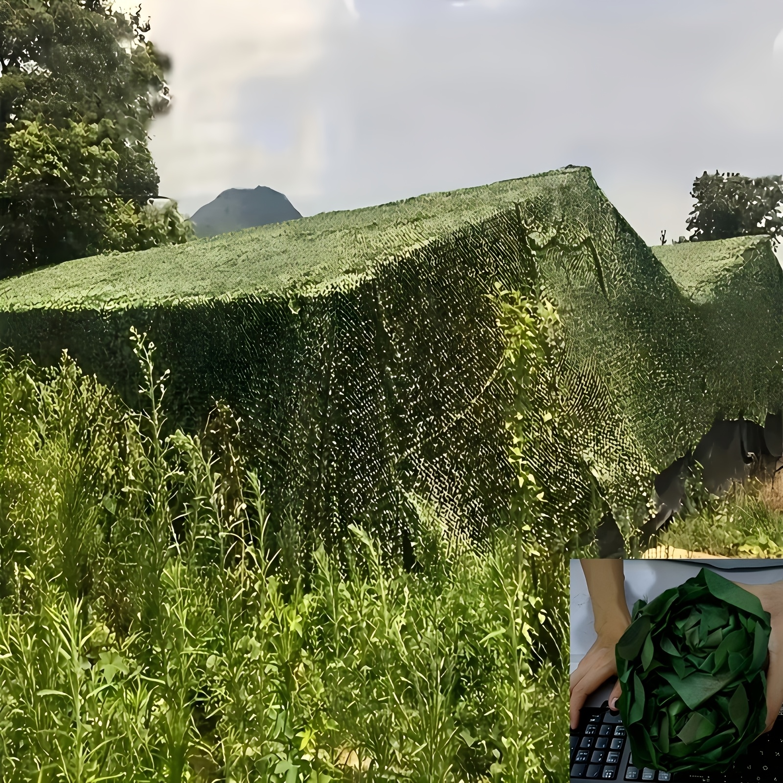 Image of Camouflage Netting, Jungle-themed Decorative Net, Patterned Shade Net, Durability And Anti-aging, Cuttable And , For Party Decorations, Outdoor Camping, Courtyard Shade, Themed Venues, 1pc