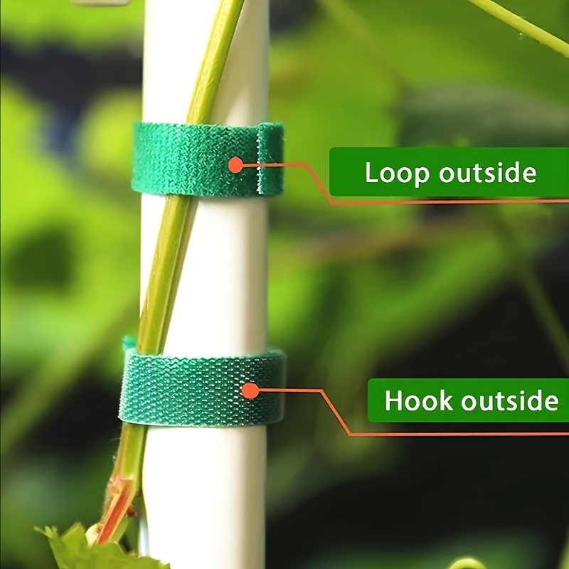 5 Meters/Roll Reusable Nylon Plant Tie - Green Garden Plant Bandage Cable Tie - Self-adhesive Plant Fastening Tape - Suitable for Plants, Gardens, Home - High-Quality, Durable and Easy to Use