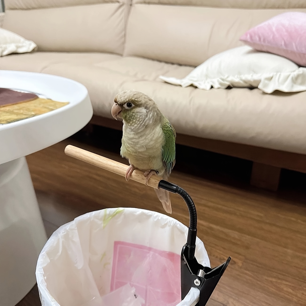 TEMU Multifunctional Clip-on Bird Stand Holder - Fully , Base With Clips, Fixed Defecation Training Stand For Parrots, Parrot Stand