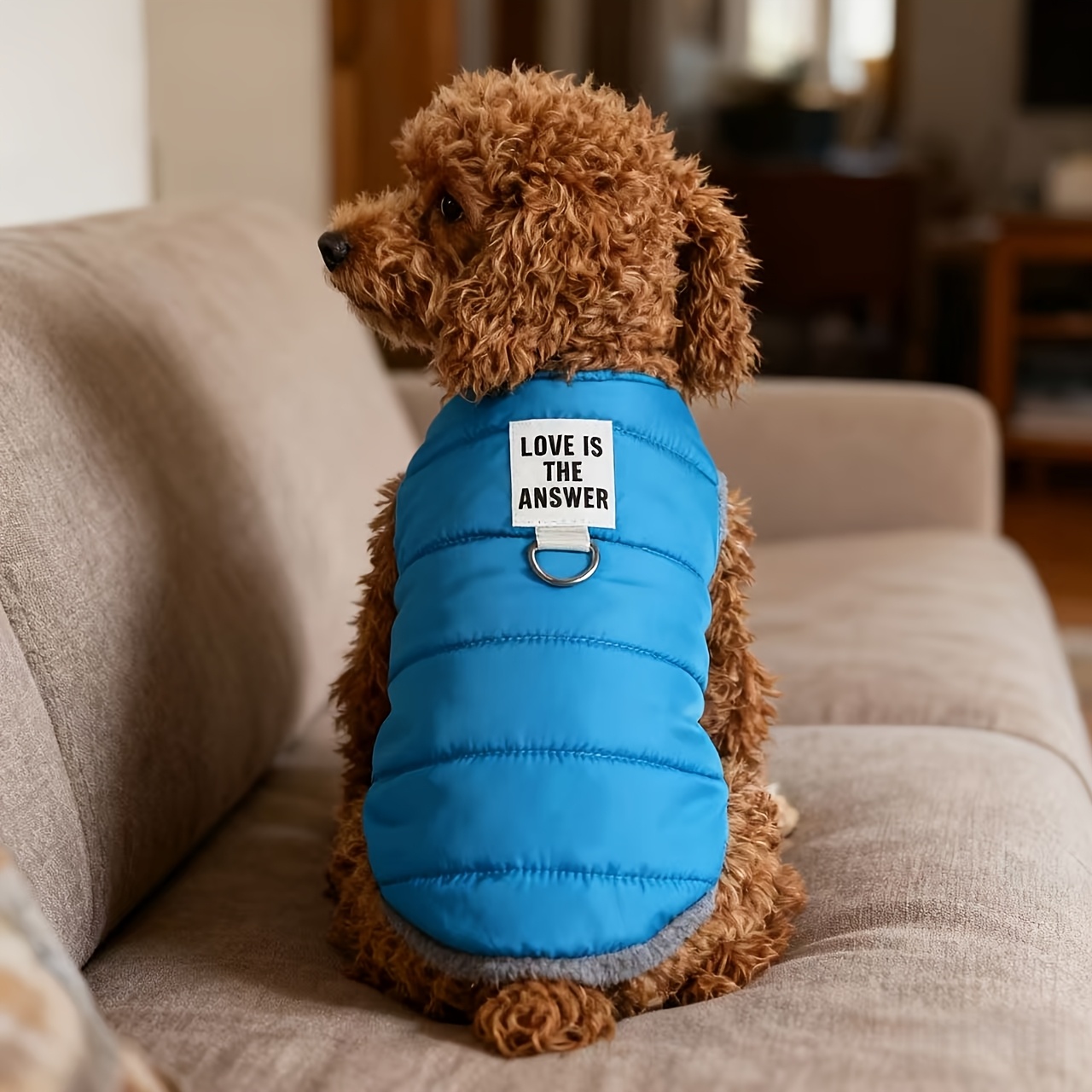TEMU Abbigliamento in pile caldo antifreddo per , gilet invernale teddy per animali domestici Bichon, e resistente alle macchie, a di taglia e media,