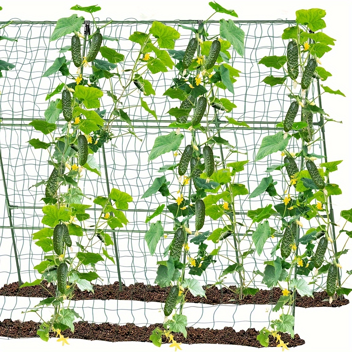 

For Plants , 47 X 51 For Plants Fruits Vine, Netting