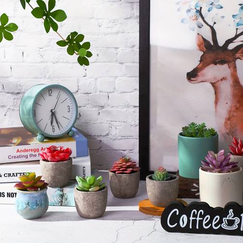 50 pcs bulk mini artificial succulents plants assorted unpotted realistic plants textured succulent picks realistic plastic cactus stems for succulent garden home decor large style