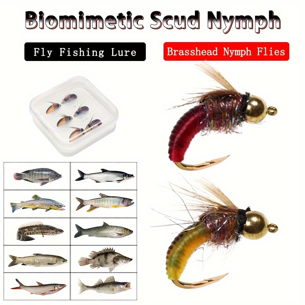 item picture box of 6 artificial insect baits for trout fishing featuring brass head nymph lures and   of 2 types of flies